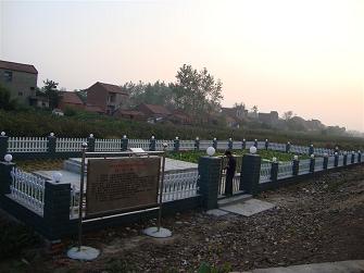 洪湖(hú)農(nóng)村(cūn)人(rén)工(gōng)濕地(dì)項目