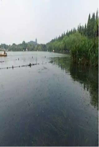 杭州西(xī)湖(hú)湖(hú)西(xī)及小(xiǎo)南(nán)湖(hú)部分(fēn)湖(hú)區(qū)生(shēng)态修複施工(gōng)